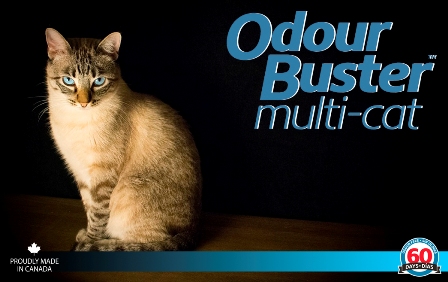 odour buster multi cat